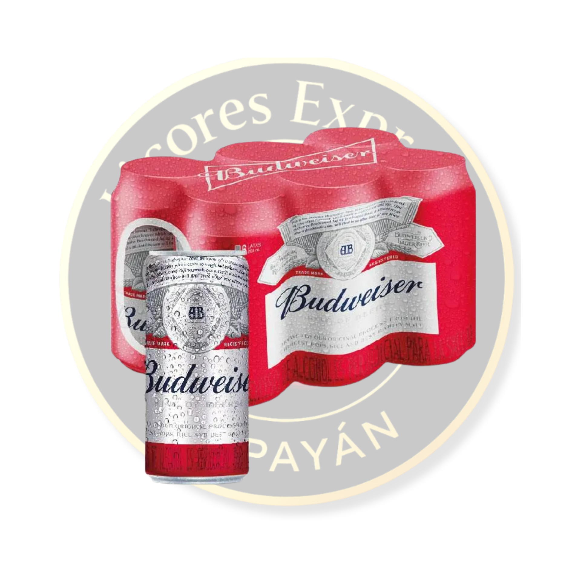 Sixpack Cerveza Budweiser