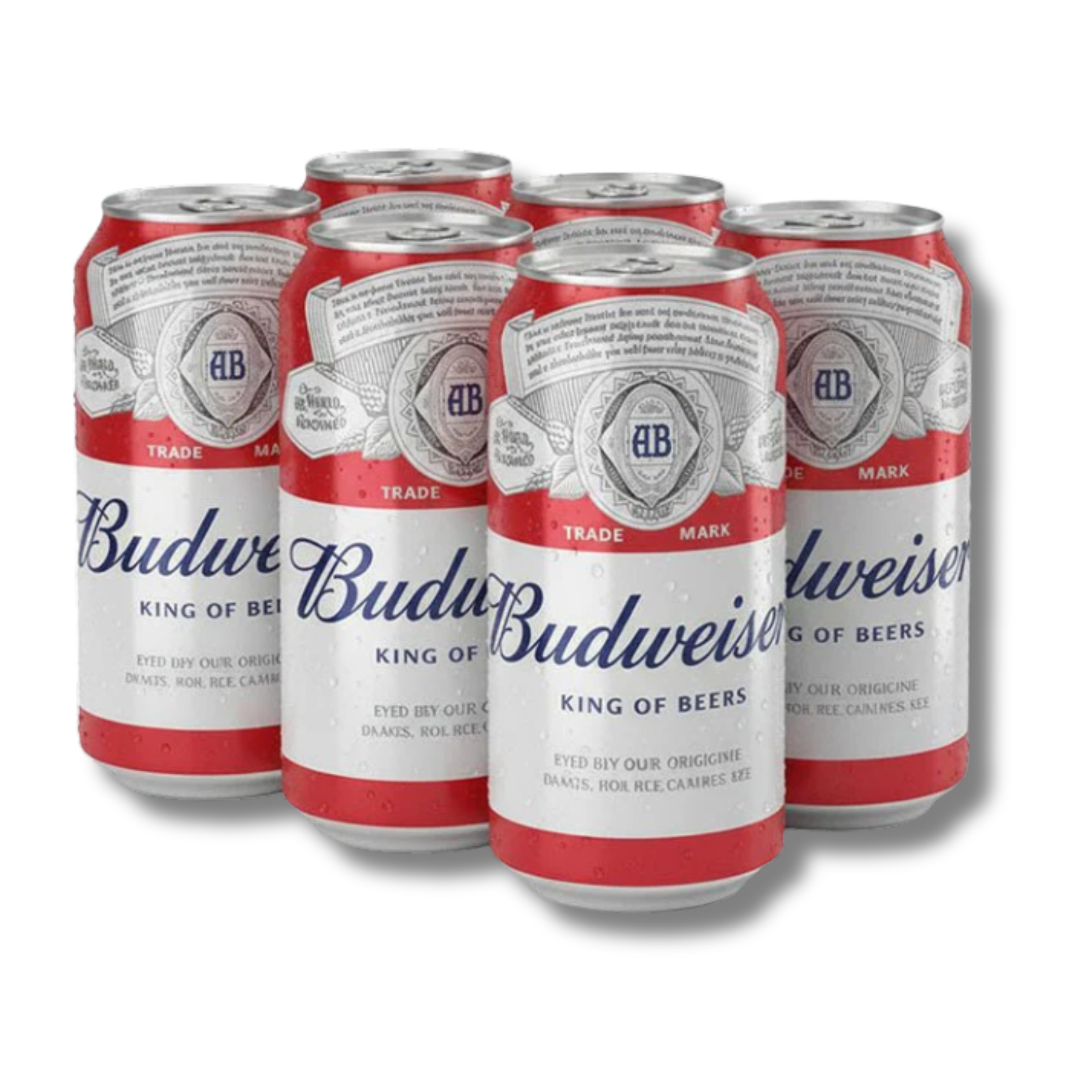 Cerveza Budweiser x 6 und